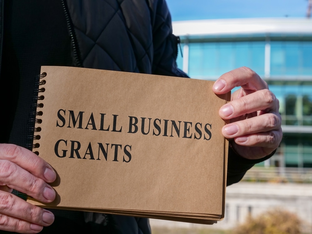 Advantages and Disadvantages Business Grants