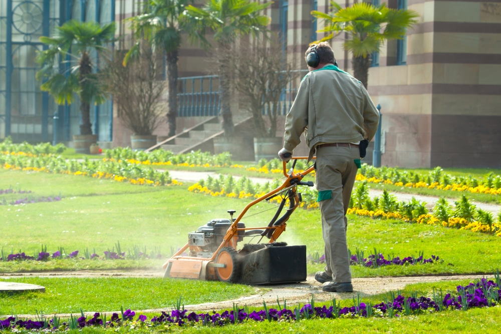 How to start a landscaping business