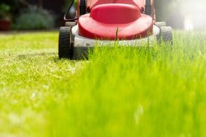 Steps to starting a landscaping business