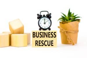 Business Recovery Definition