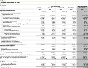 Netflix – Its Growth with Negative Cash Flow