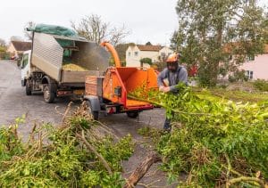 What licences does a tree surgeon need?
